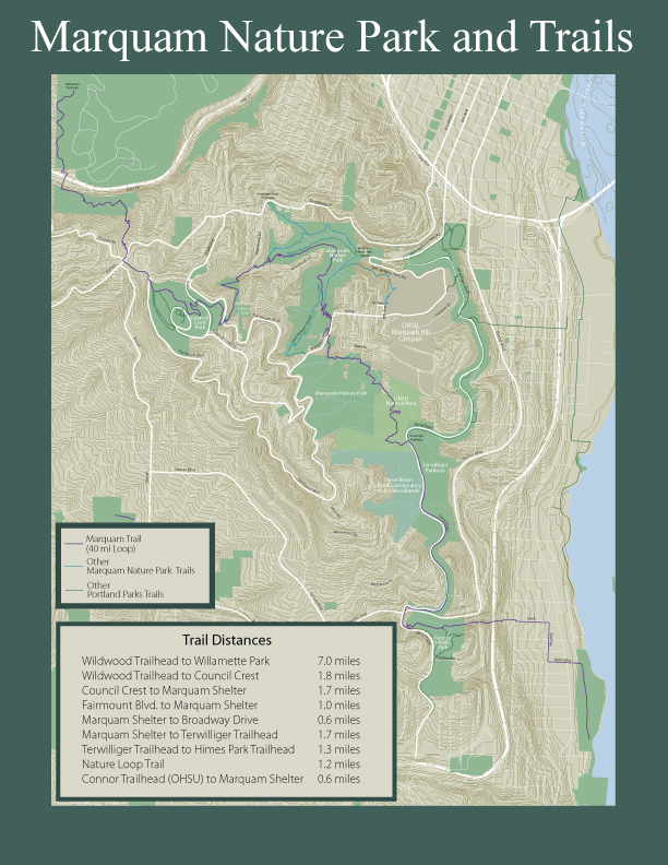 Friends of Marquam Nature Park